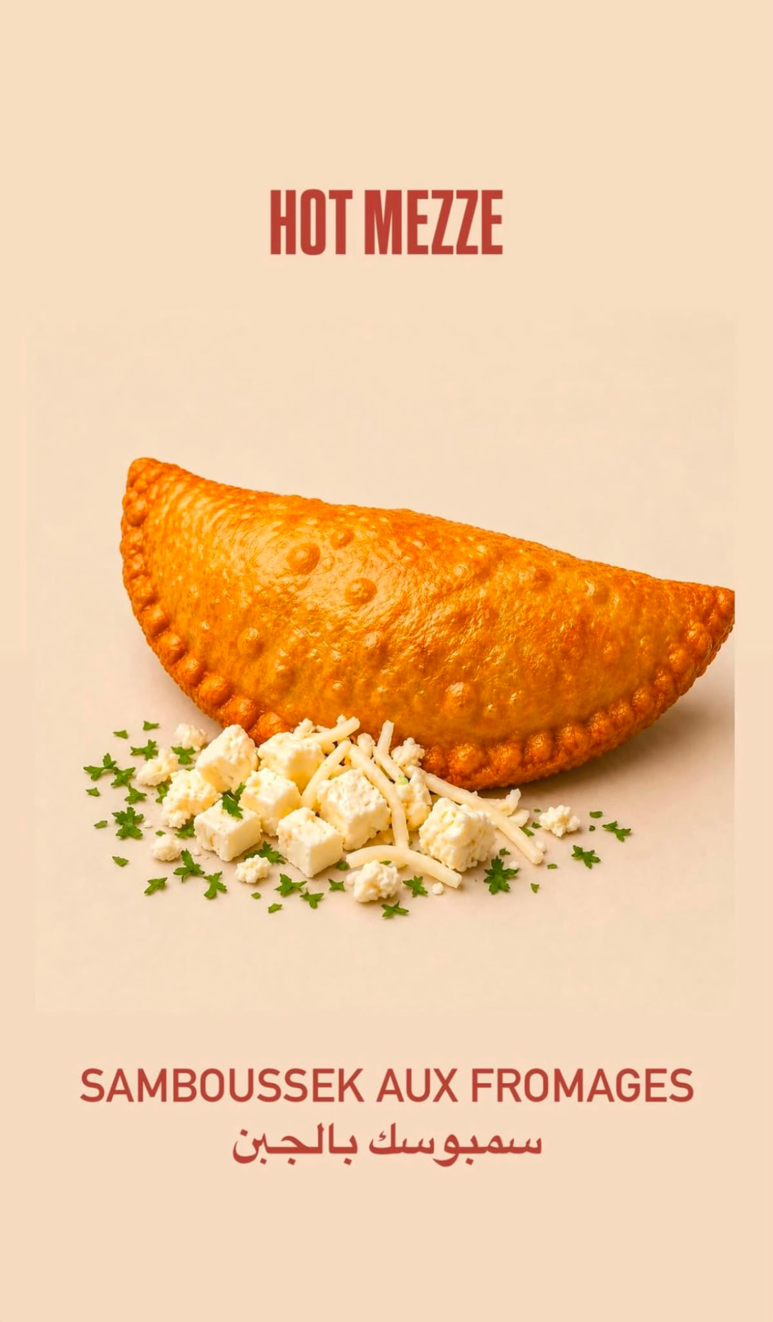 Grand samboussek au fromage doré